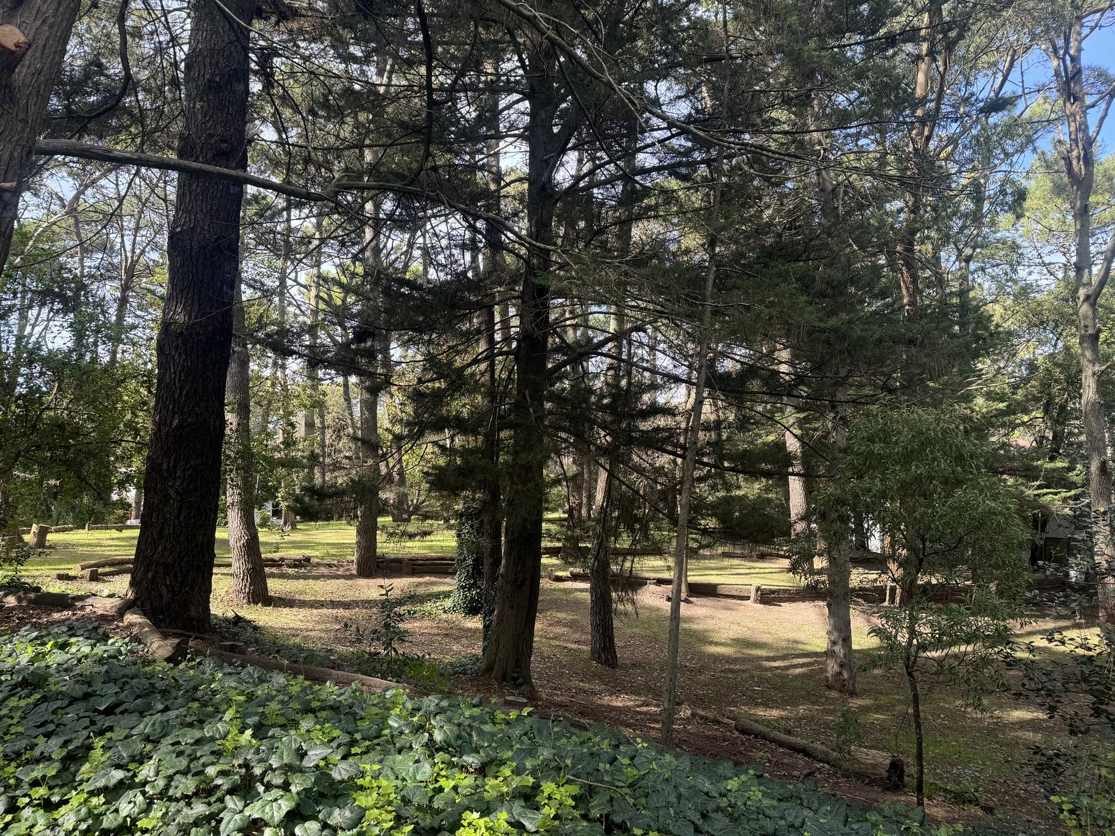 image 14