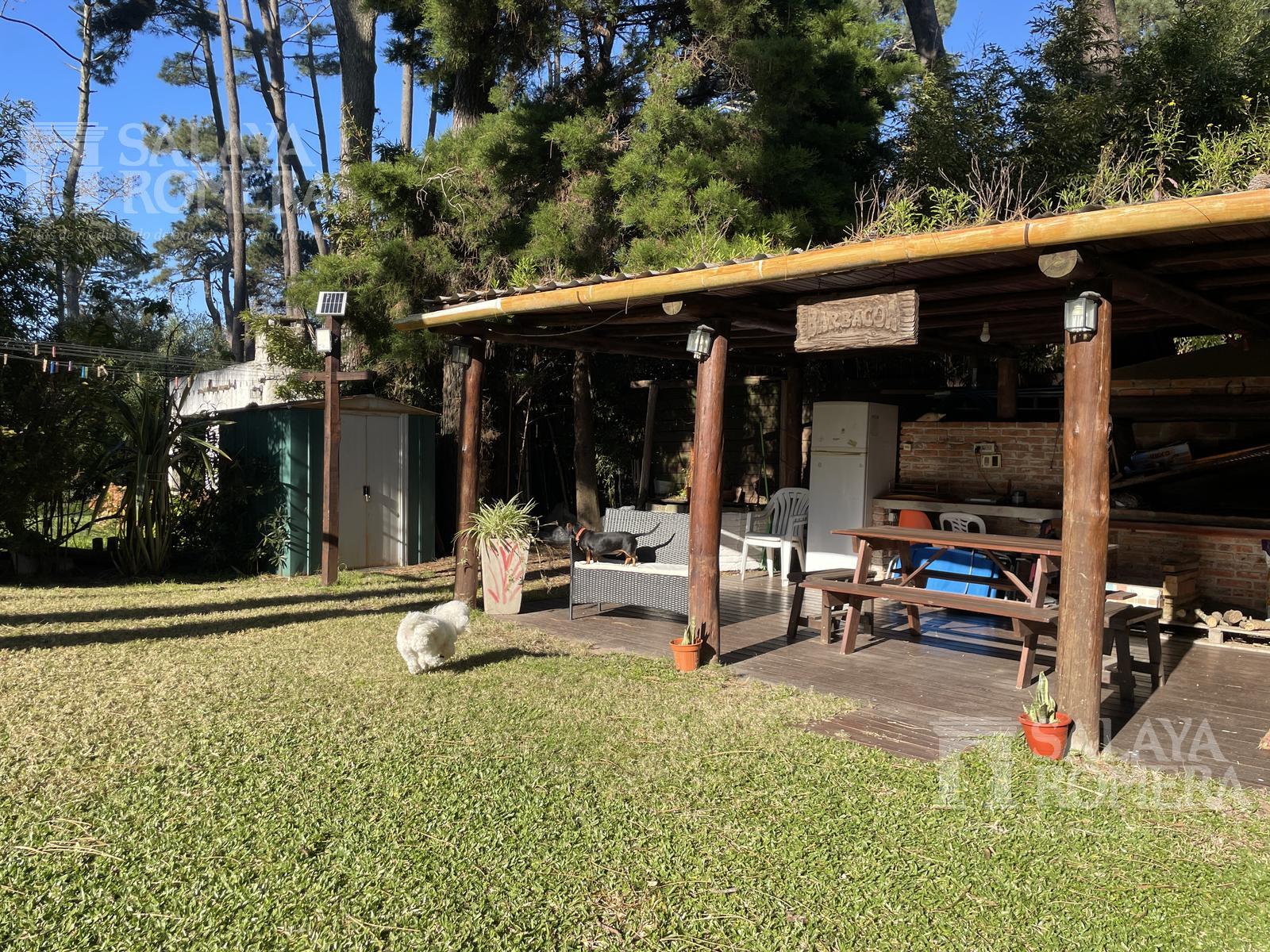 image 31