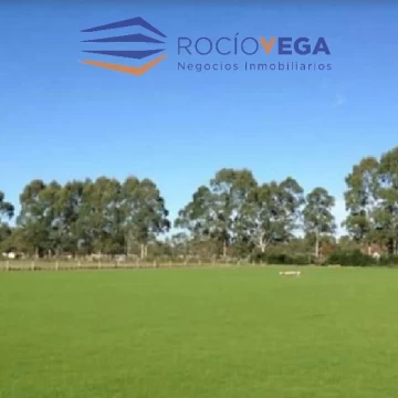 1727022279.jpg
