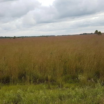 Excelente Oportunidad de Inversión en Juan de Mena Cordillera