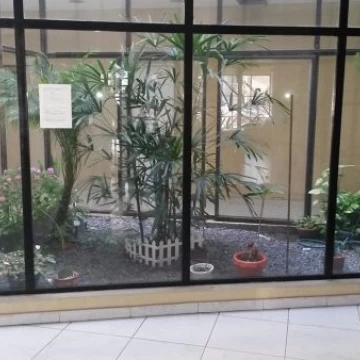 Abel Costa 800