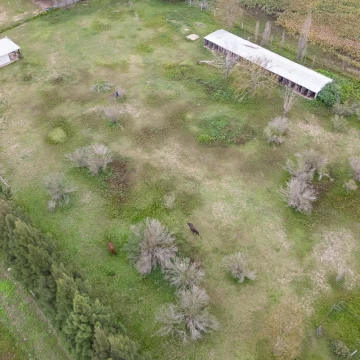 1727385230.jpg