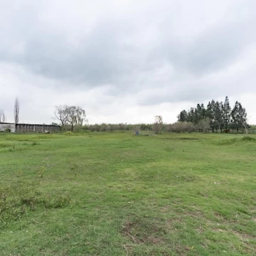 1727385235.jpg
