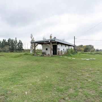 1727385237.jpg