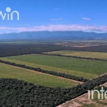 Campo de 838 has en El Acheral - San Pedro - Pcia. de Jujuy