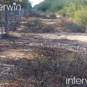 Campo en Bermejo - Pcia. de Formosa