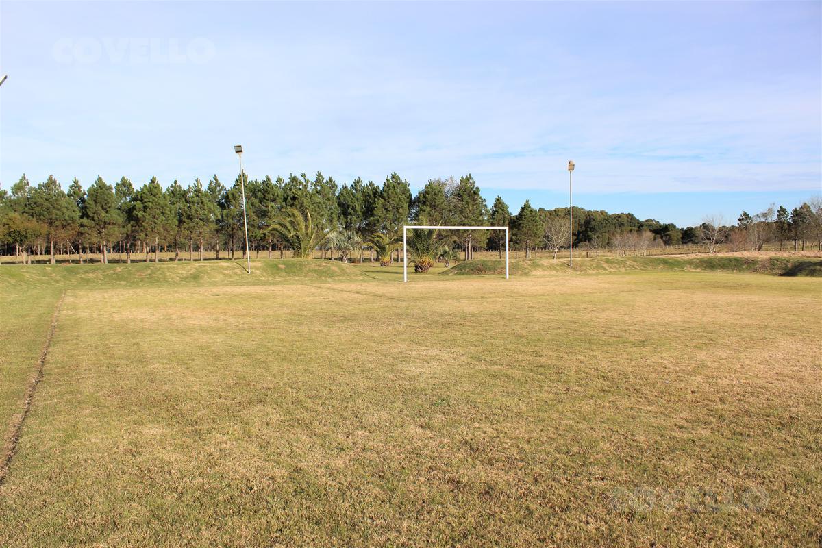 image 33