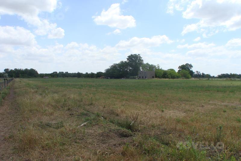image 14