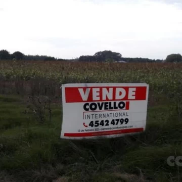 Venta Campo Carmelo