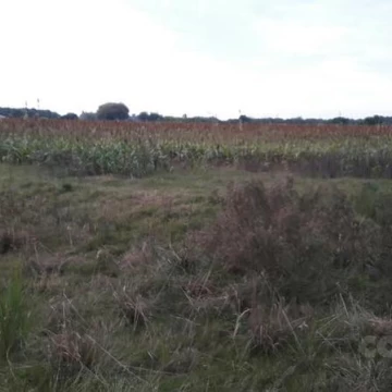 Campo en Colonia Estrella Ruta 21