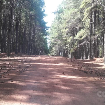 Terreno, barrio privado, playa, puerto, seguridad