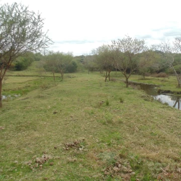 Chacra en Punta Gorda, oportunidad