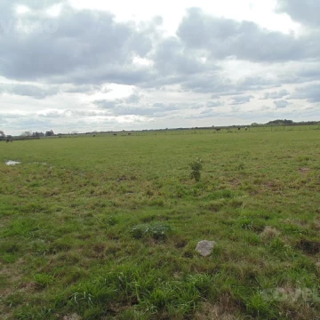 Campo en venta en Colonia Estrella, Carmelo
