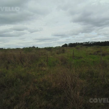 Terreno en Carmelo, zona de Colonia Estrella, buena ubicación