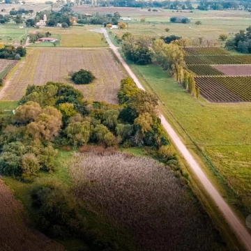 Campo en Carmelo, ideal para desarrollo Turístico, inmobiliario, en plena zona turistica