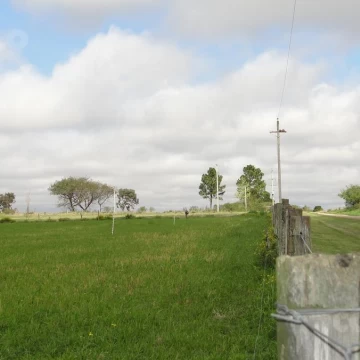 Terreno en zona de San Pedro, muy buena ubicación, campo productivo.