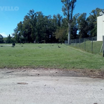 Terreno de en venta en Real de San Carlos Colonia del Sacramento