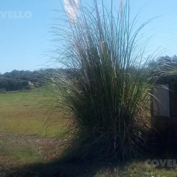 Terreno en venta en Real de San Carlos Colonia del Sacramento