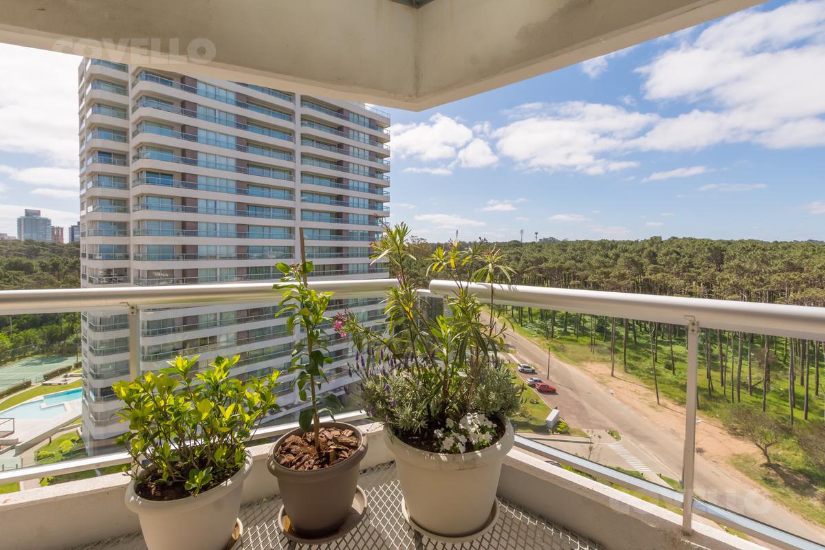 image 48