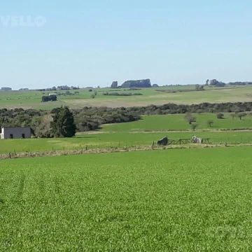 Campo en venta de 50 has en Pueblo Víboras, Carmelo