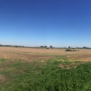 Campo en Martin Chico, buena tierra productiva, zona en desarrollo