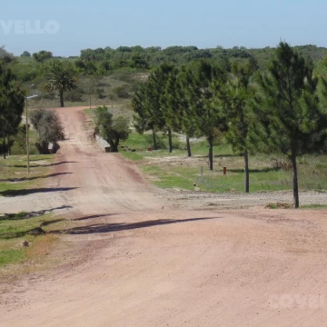 Terrenos en barrio privado Médanos de Punta Gorda Casa Chic