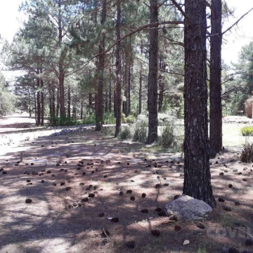 Terreno, barrio cerrado, seguridad, puerto, playa