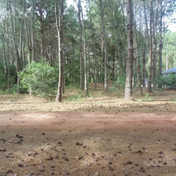 Terreno, Balneario El Faro, arbolado, puerto, zona de deportes, piscina, playa