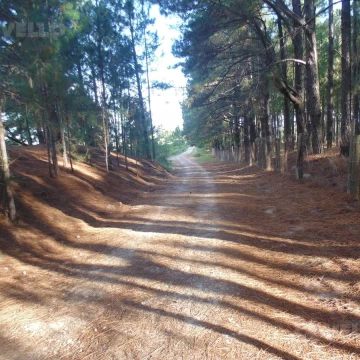 Terreno arbolado en venta cercano a la costa en Balneario Zagarzazú Carmelo