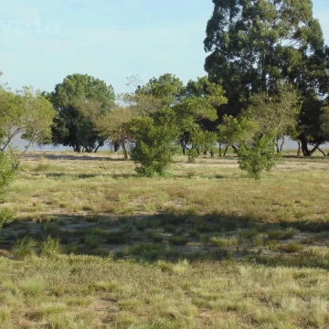 Solar en venta en primera línea en Balneario Zagarzazú Carmelo
