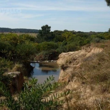 Terreno - La Pedrera