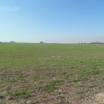 Campo,  Colonia Estrella, alto indice de productividad, sobre ruta 97.