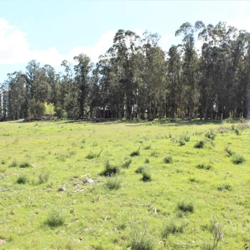 Campo en venta en Manantiales Ruta 104