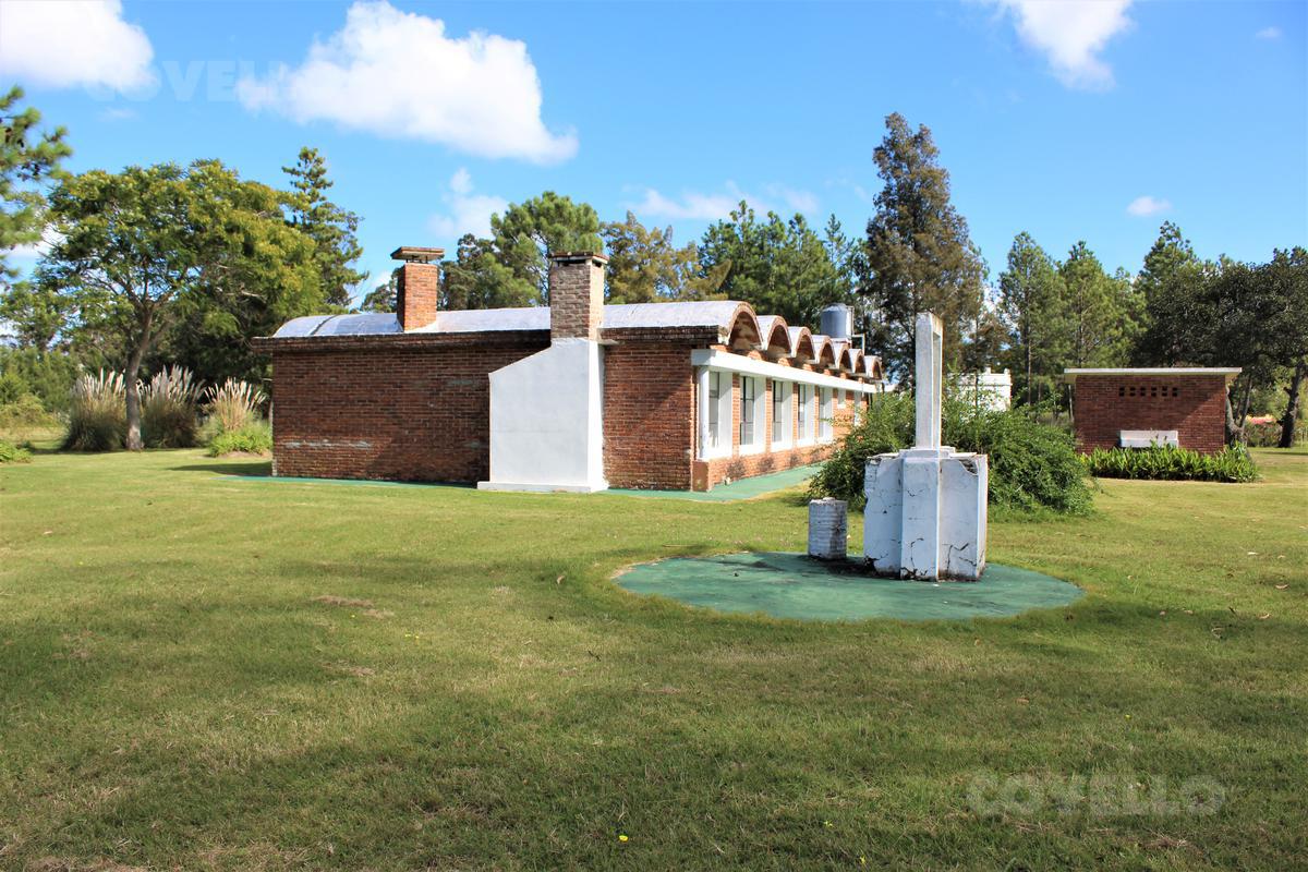 image 19
