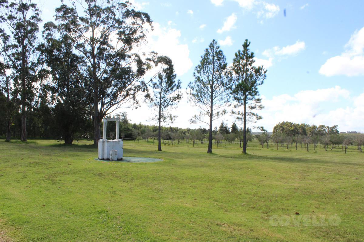 image 23