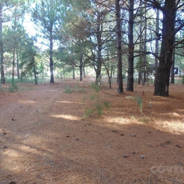 Terreno en venta en Balneario Zagarzazú Carmelo