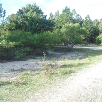 Terreno en venta de 675m2 en Balneario Zagarzazú Carmelo