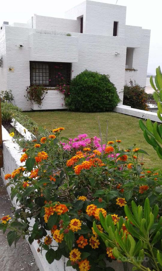 image 38