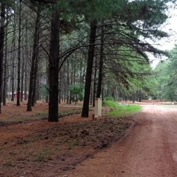 Venta terreno - El Faro