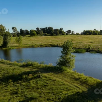 Terreno - Real de San Carlos