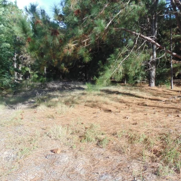 Terreno en venta en Balneario Zagarzazú Carmelo