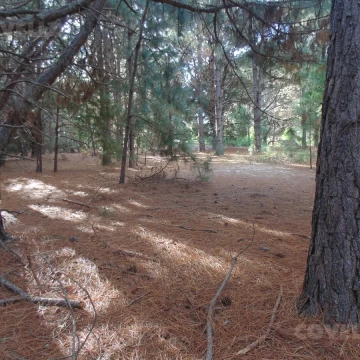 Terreno en venta en Balneario Zagarzazú Carmelo