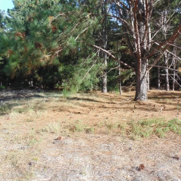 Terreno en venta en Balneario Zagarzazú Carmelo