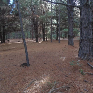 Terreno en venta en Balneario Zagarzazú Carmelo