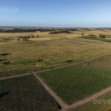 Terreno - José Ignacio