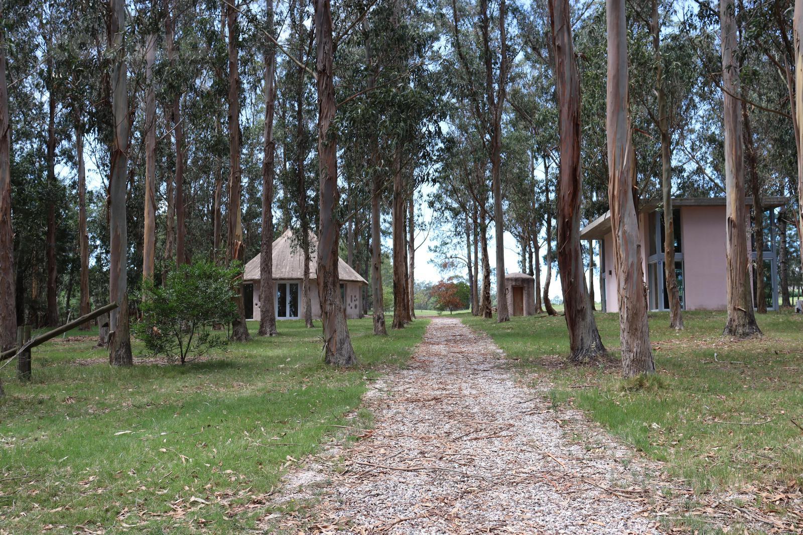 image 38