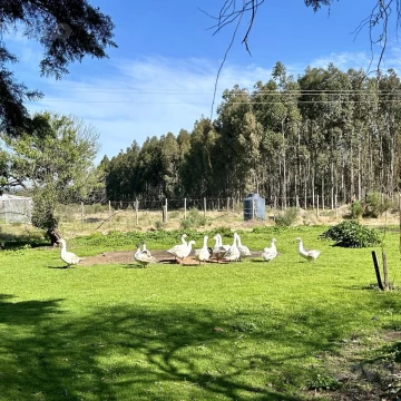 Chacra en  San Carlos Cerca de la ruta 9