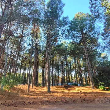 Terreno en venta en Barrio Privado El Faro, Carmelo, Colonia