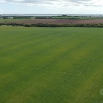 Campo en venta en Carmelo