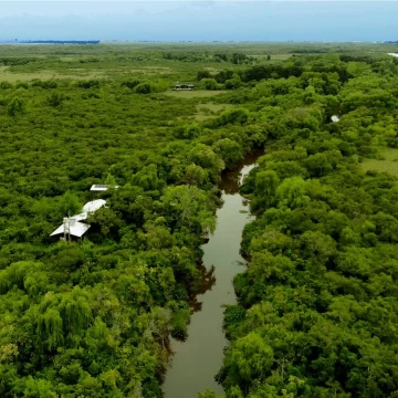 Chacras de una hectárea en un secreto lugar del Tigre